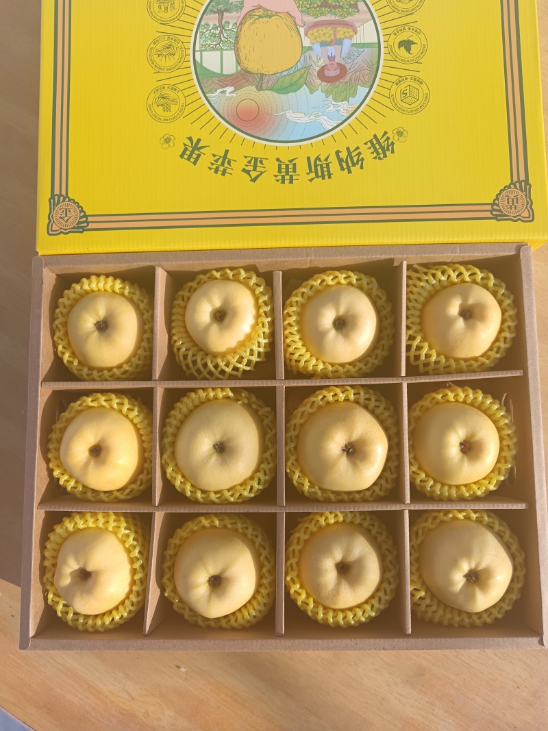 维纳斯黄金苹果辽宁宽甸县产地直供品质保证欢迎来电