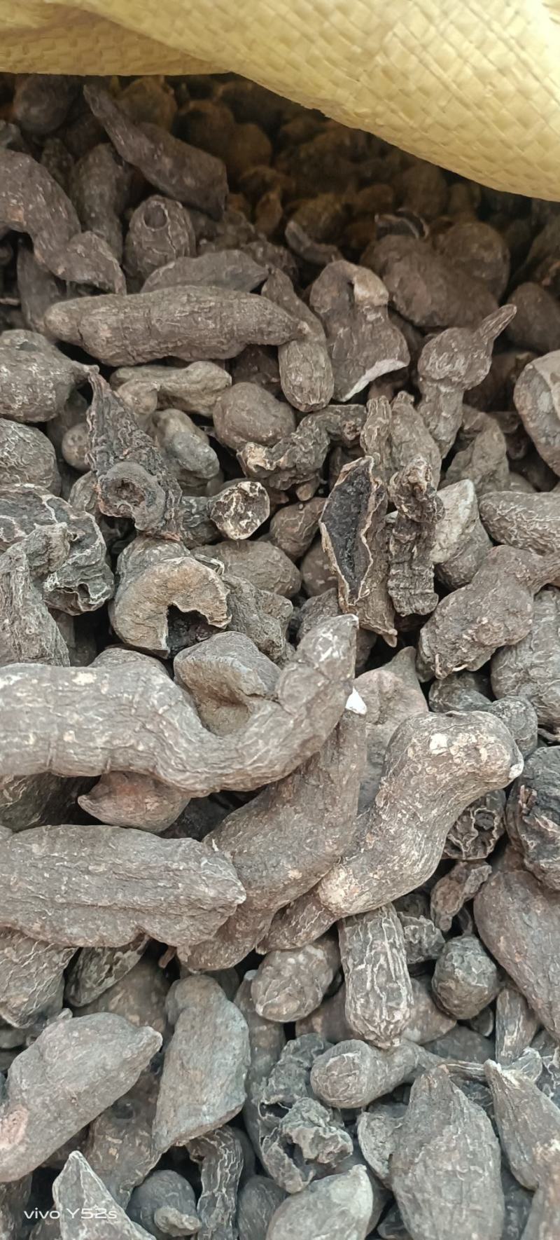 三叶青又名金线吊葫芦实体加平台质量有保证，药材只做正品