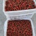 釜山88小糖豆圣女果货源充足量大从优品质保证
