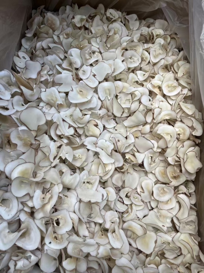 海底椰泰国香椰颜色白无硫***放心食用批零兼营
