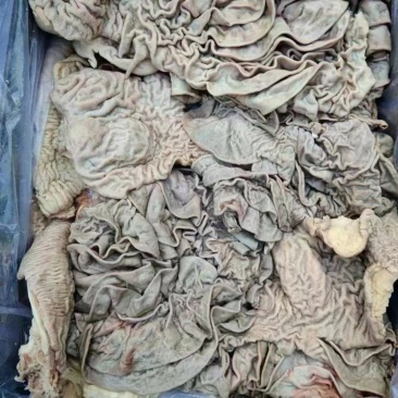 牛小肠