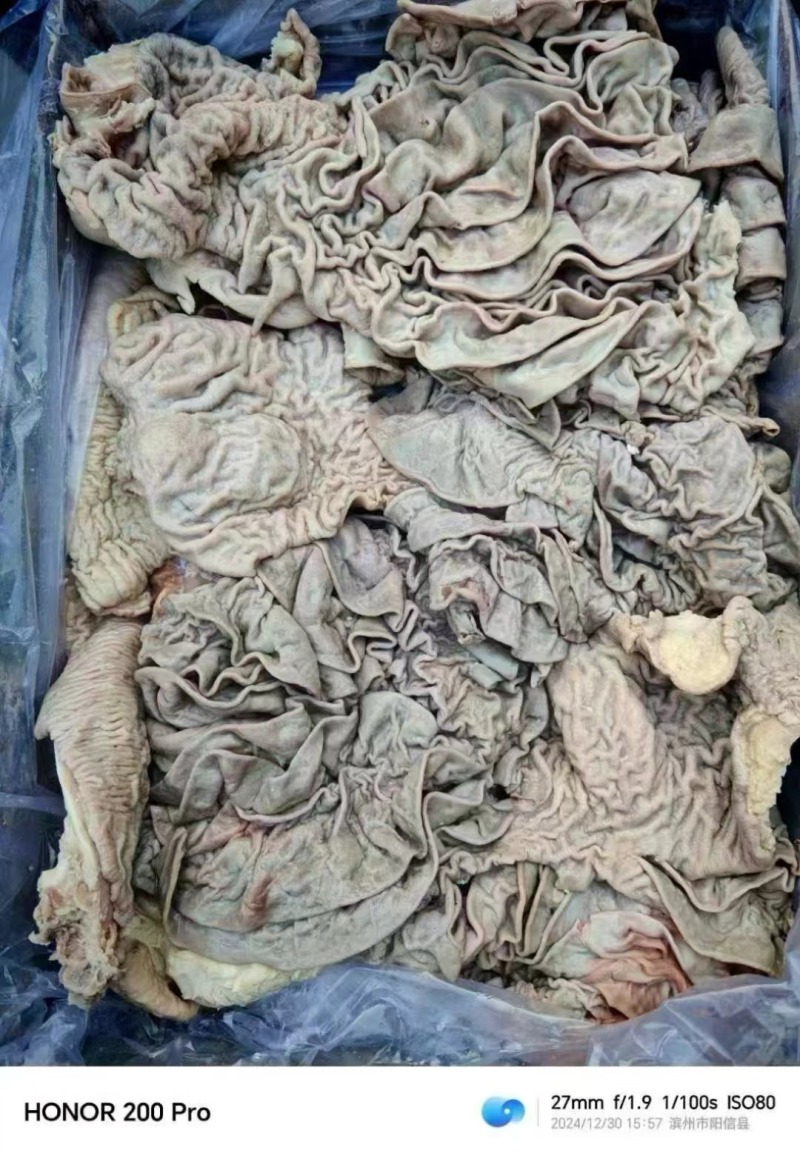 牛小肠