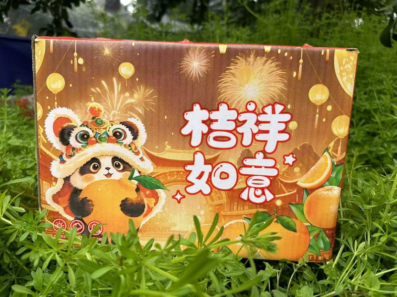 四川春见耙耙柑供货一件代发商超