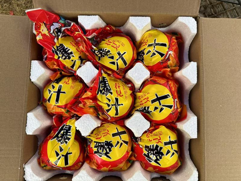 四川春见耙耙柑供货一件代发商超