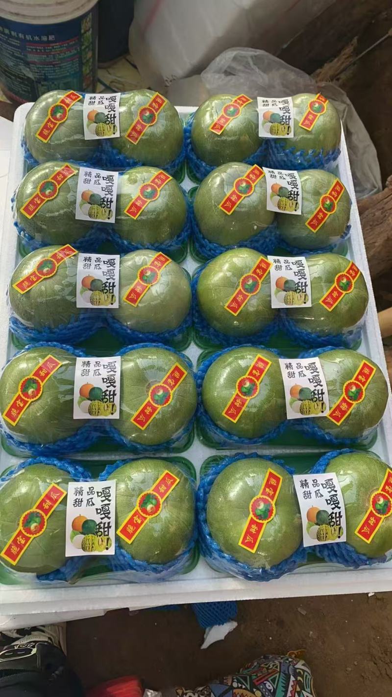 山东绿宝石甜瓜，一件代发，商超供应链