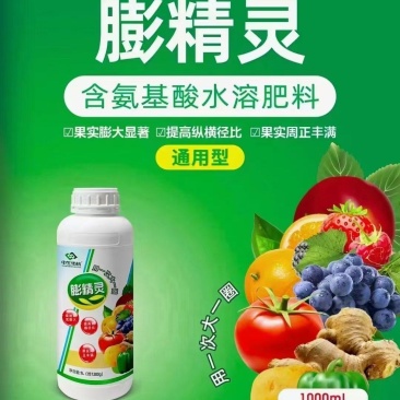 膨精灵促进果实膨大，地下膨大提高纵横径比果实周正