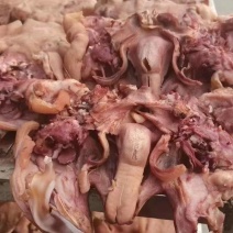 全熟羊头肉