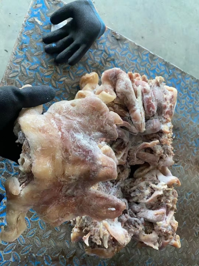 全熟羊头肉