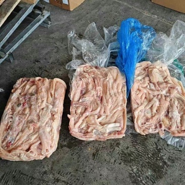 纯干新鲜牛筋牛蹄筋冷冻牛蹄筋商用生鲜主筋干净50斤一箱商