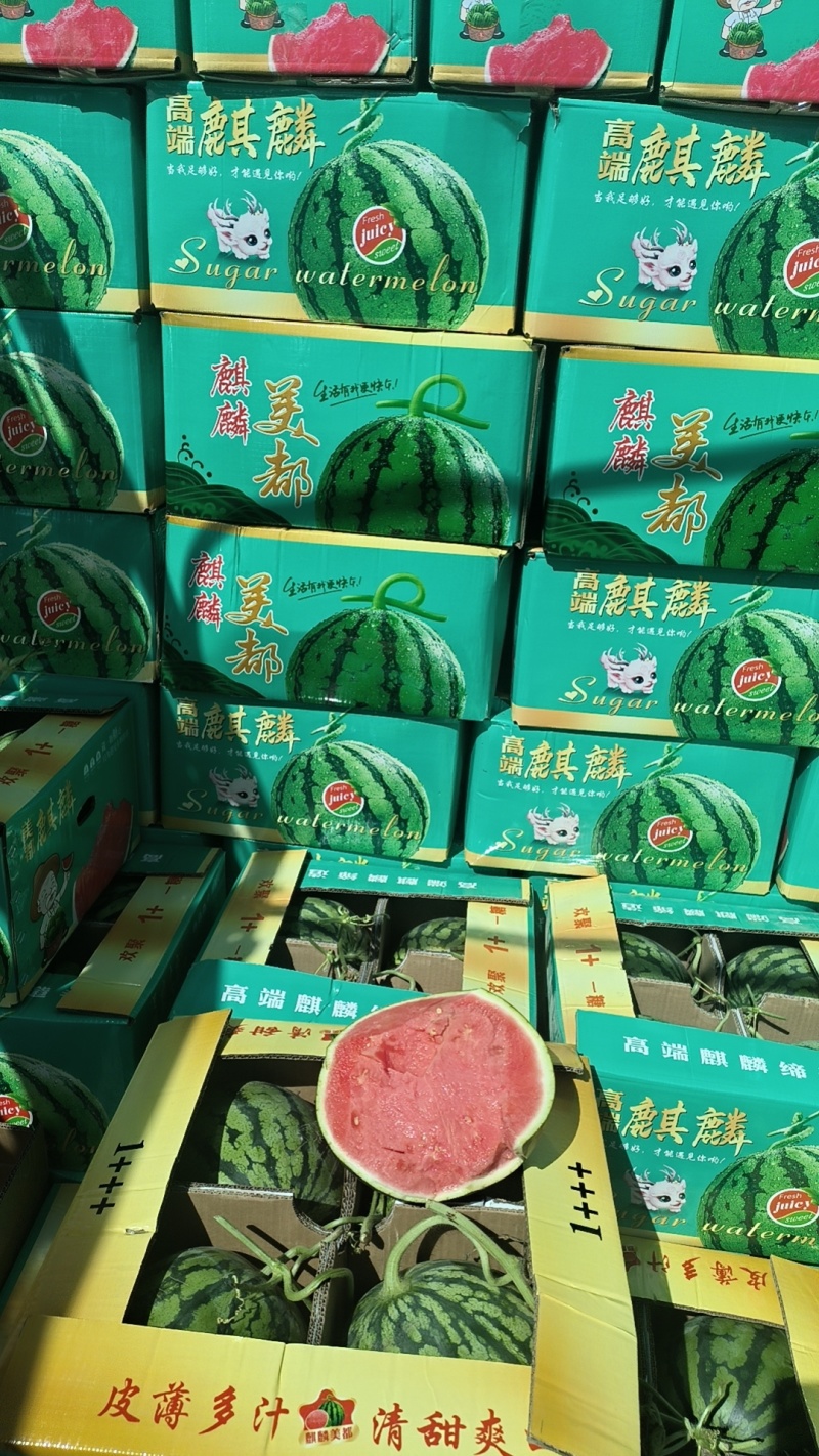 陕西美都西瓜产地直发对接电商超市代发全国市场货源充足三包
