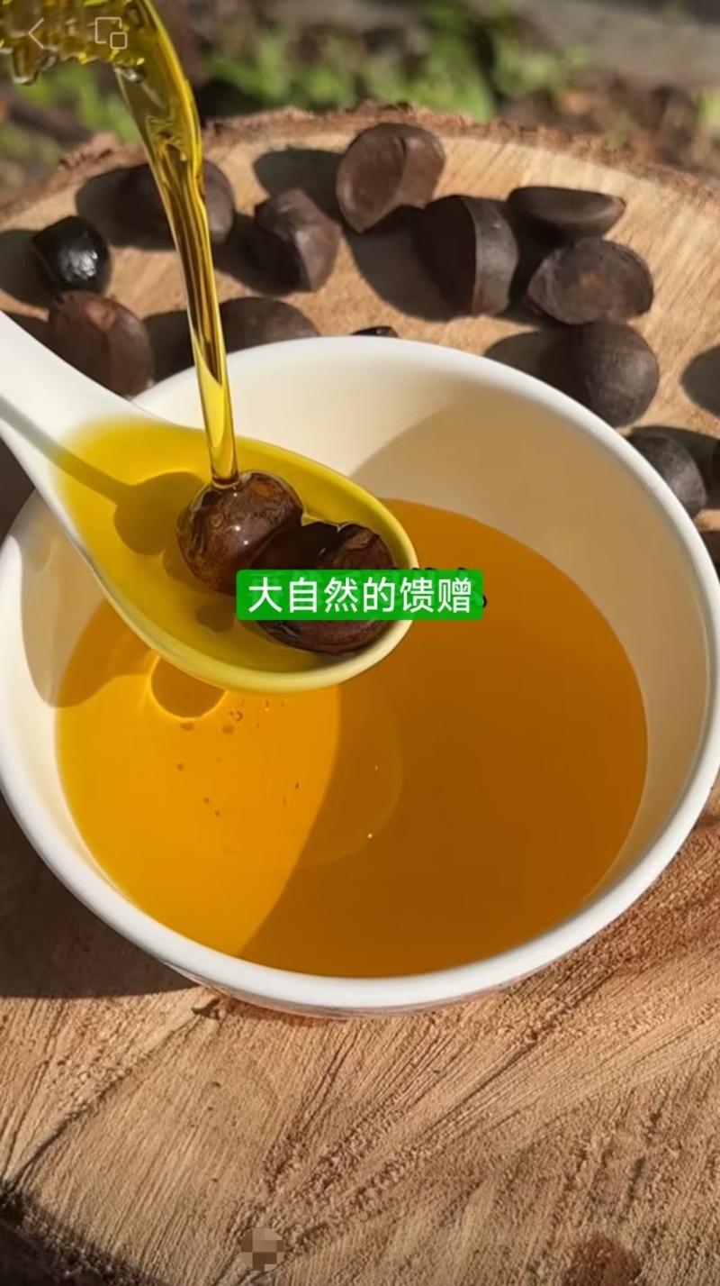 【精品】山茶油保质保量一手货源量大从优欢迎选购