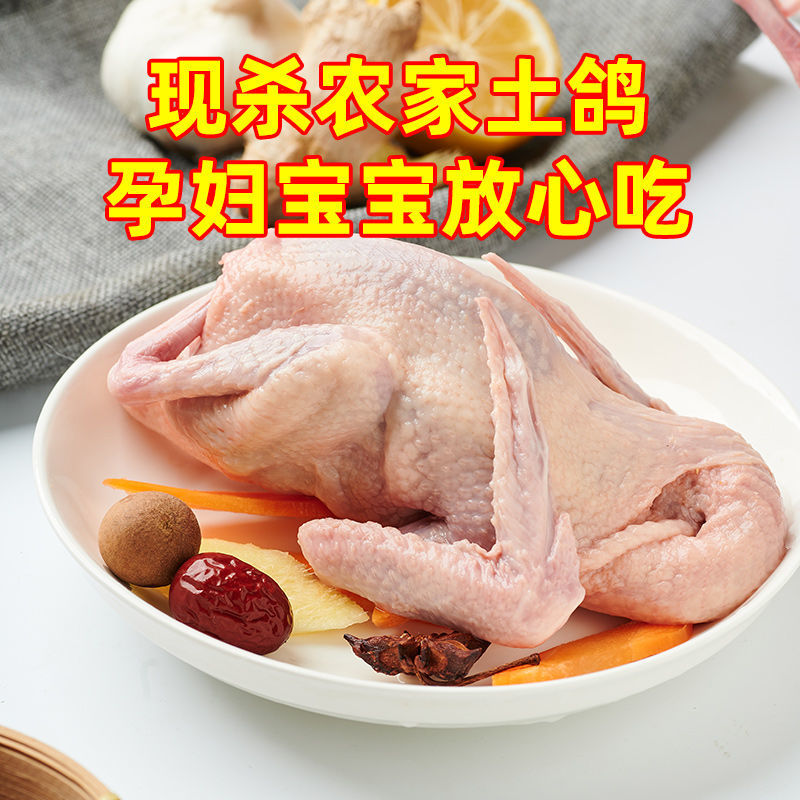 农家散养土鸽子，白条鸽子带心肝肺，电商一件代发