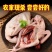 农家散养土鸽子，白条鸽子带心肝肺，电商一件代发
