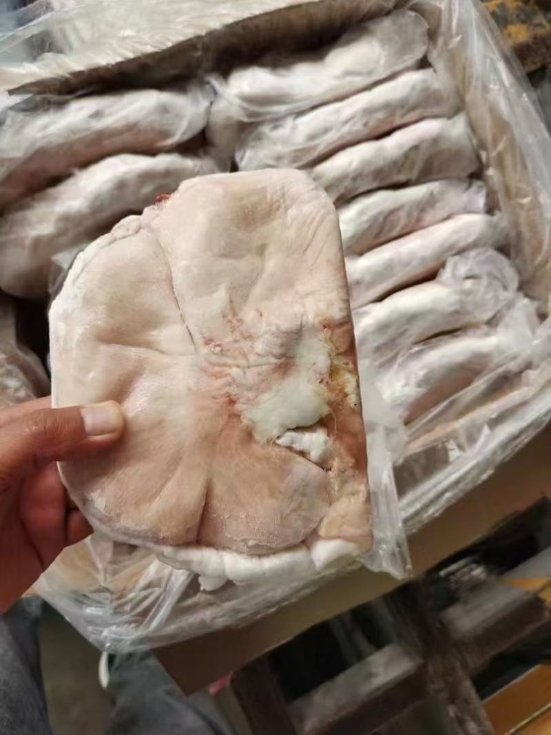 纯干猪肚16个装
