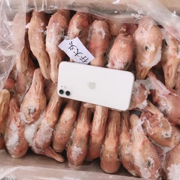 鹅副产品仔鹅头