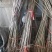 红油香椿苗大棚种植香椿苗量大优惠规格齐全