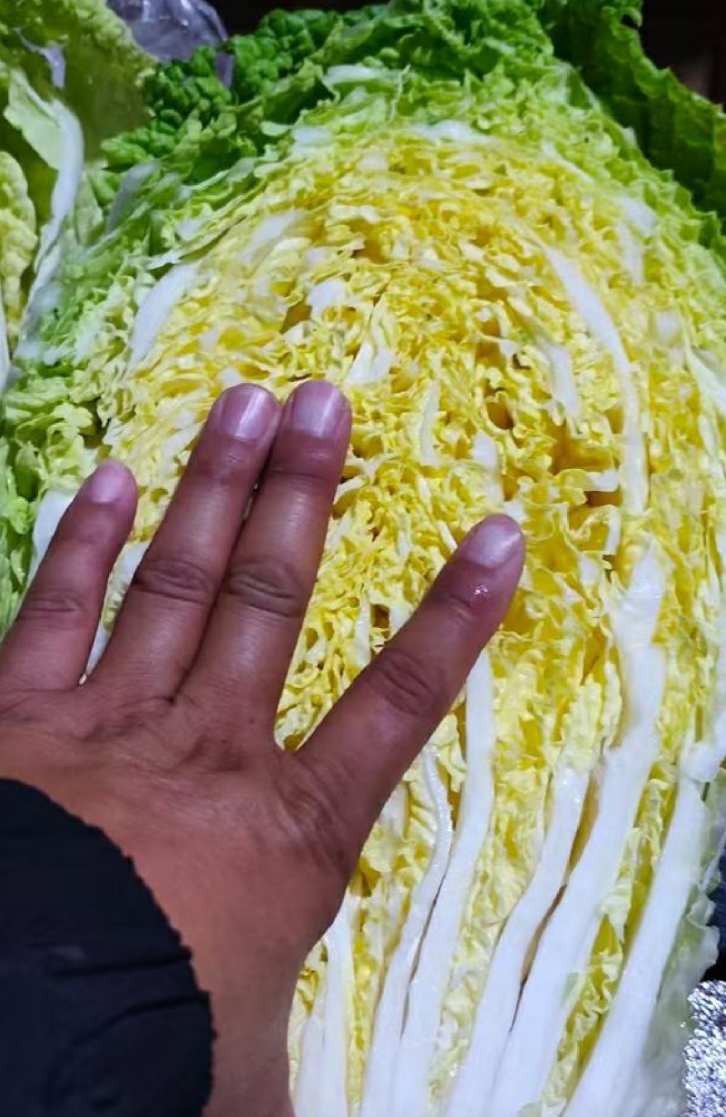 产地直发，人工挑选，质量保证，信誉商家，