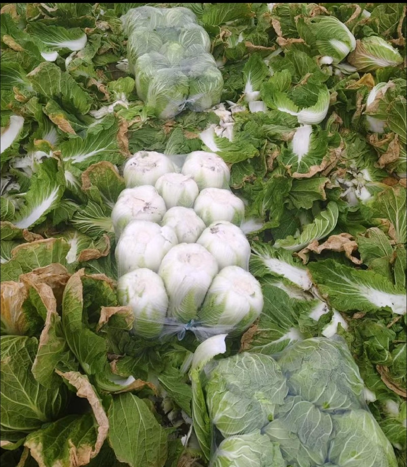 产地直发，人工挑选，质量保证，信誉商家，