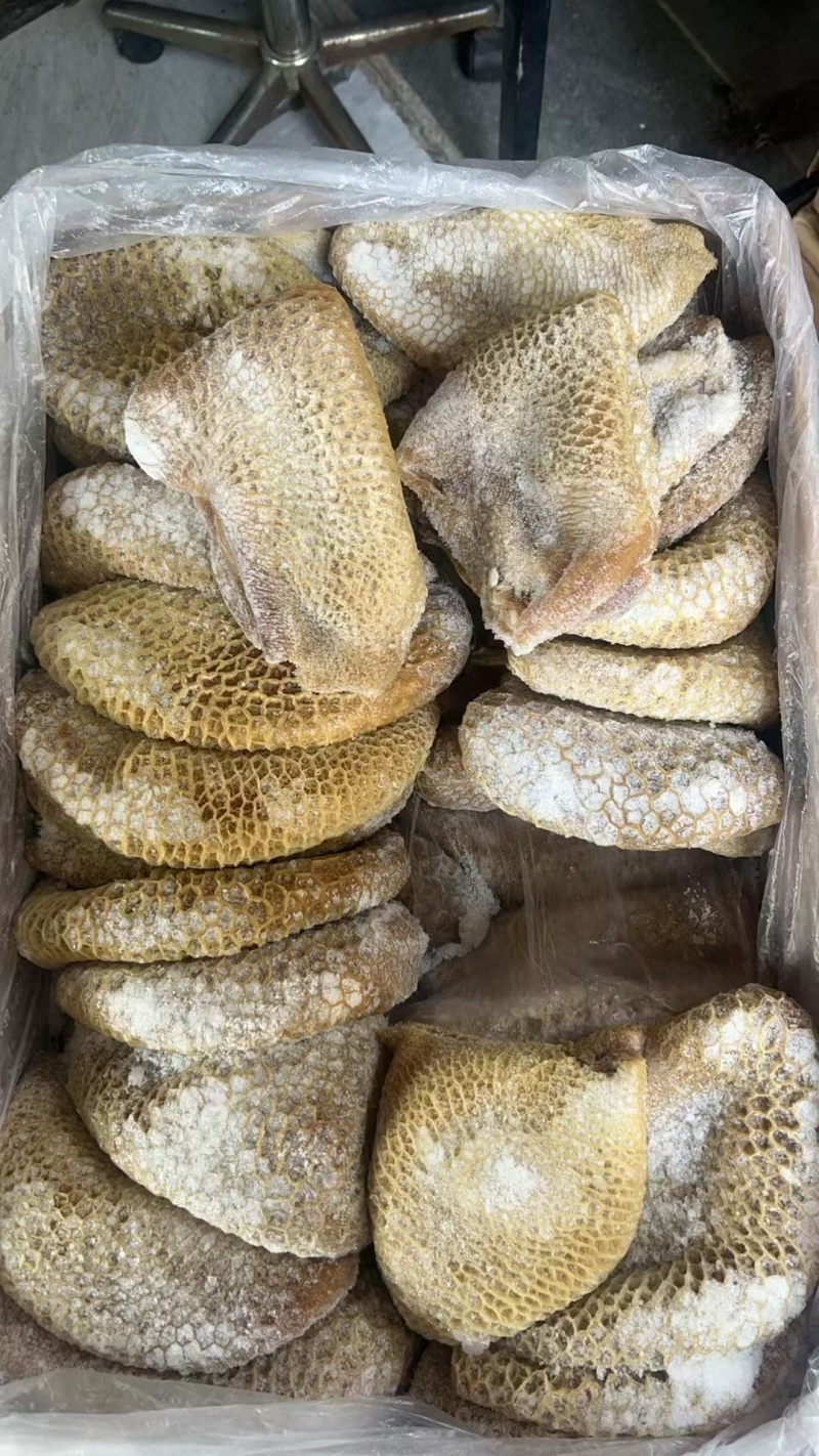 纯干原味精修金钱肚牛蜂窝肚无水发干净少冰水牛杂牛肚火锅店