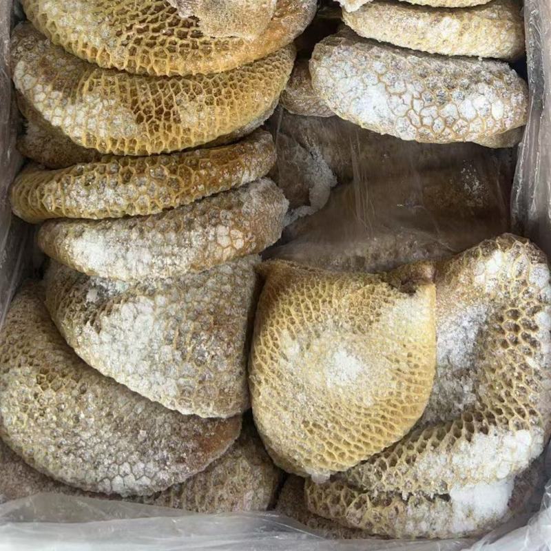 纯干原味精修金钱肚牛蜂窝肚无水发干净少冰水牛杂牛肚火锅店