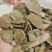 棉籽饼饼粕主要做各种农作物高端有机肥量大从优