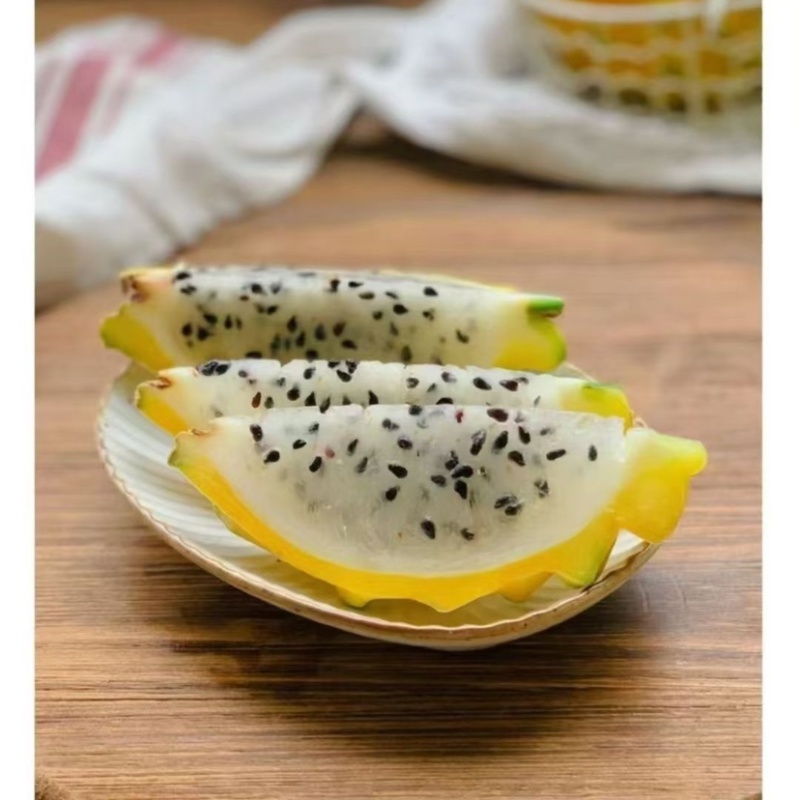 燕窝果大量上市需要的合作联系