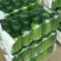莘县绿皮小东瓜供应电商超市平台市场精品蔬菜各种包装