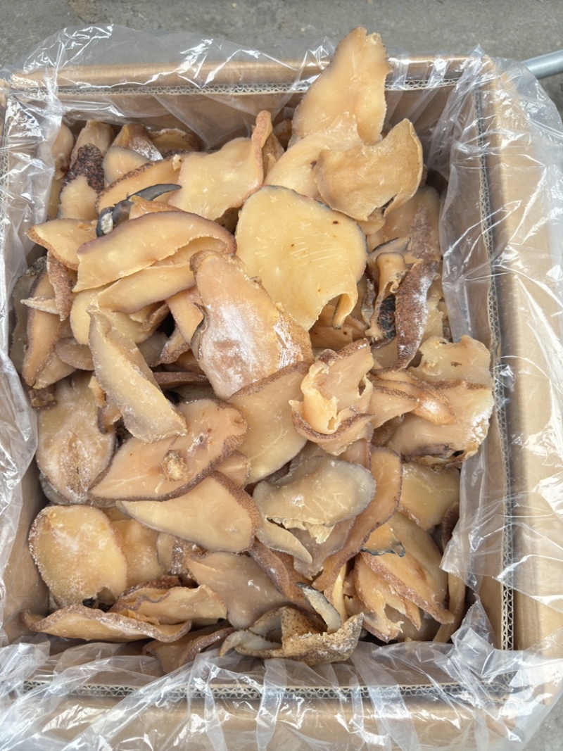 响螺片大号通货59元一斤螺肉干佛跳墙用的螺片