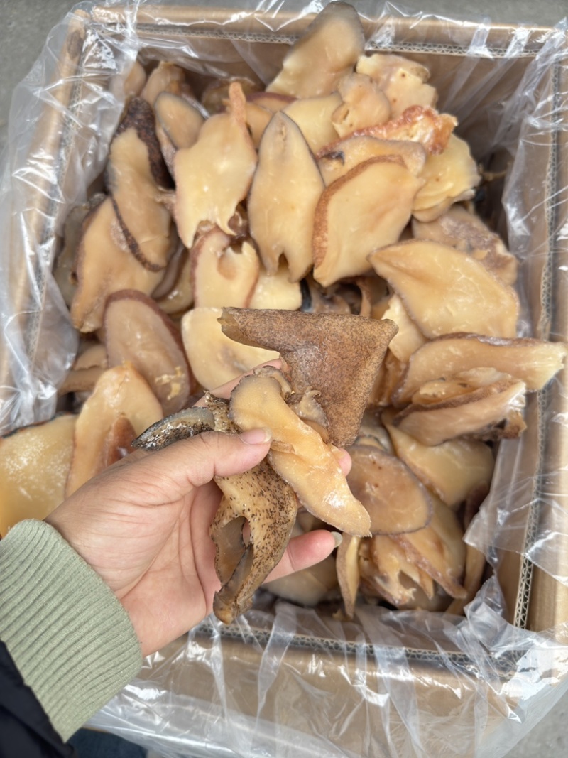 响螺片大号通货59元一斤螺肉干佛跳墙用的螺片