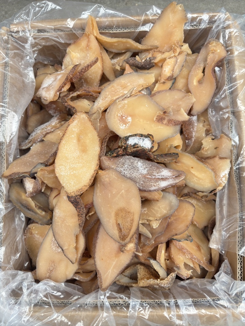 响螺片大号通货59元一斤螺肉干佛跳墙用的螺片