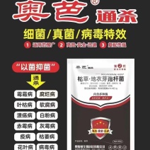 通杀枯草地衣芽孢杆菌以菌抑菌防治霉霜病腐烂病叶枯病