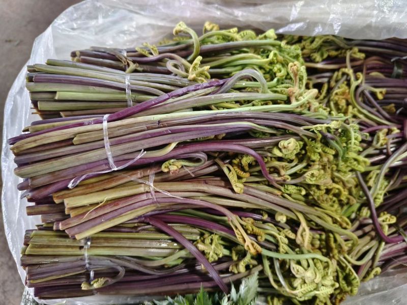 贵州野生蕨菜，每一份都是大自然对味蕾的深情告白。远离尘嚣，