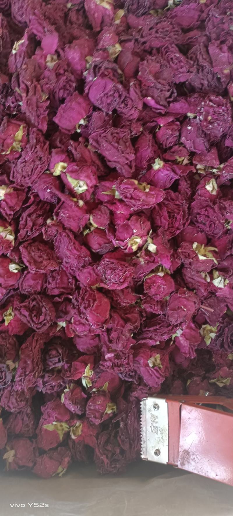 冻干墨红玫瑰，各种花茶批发