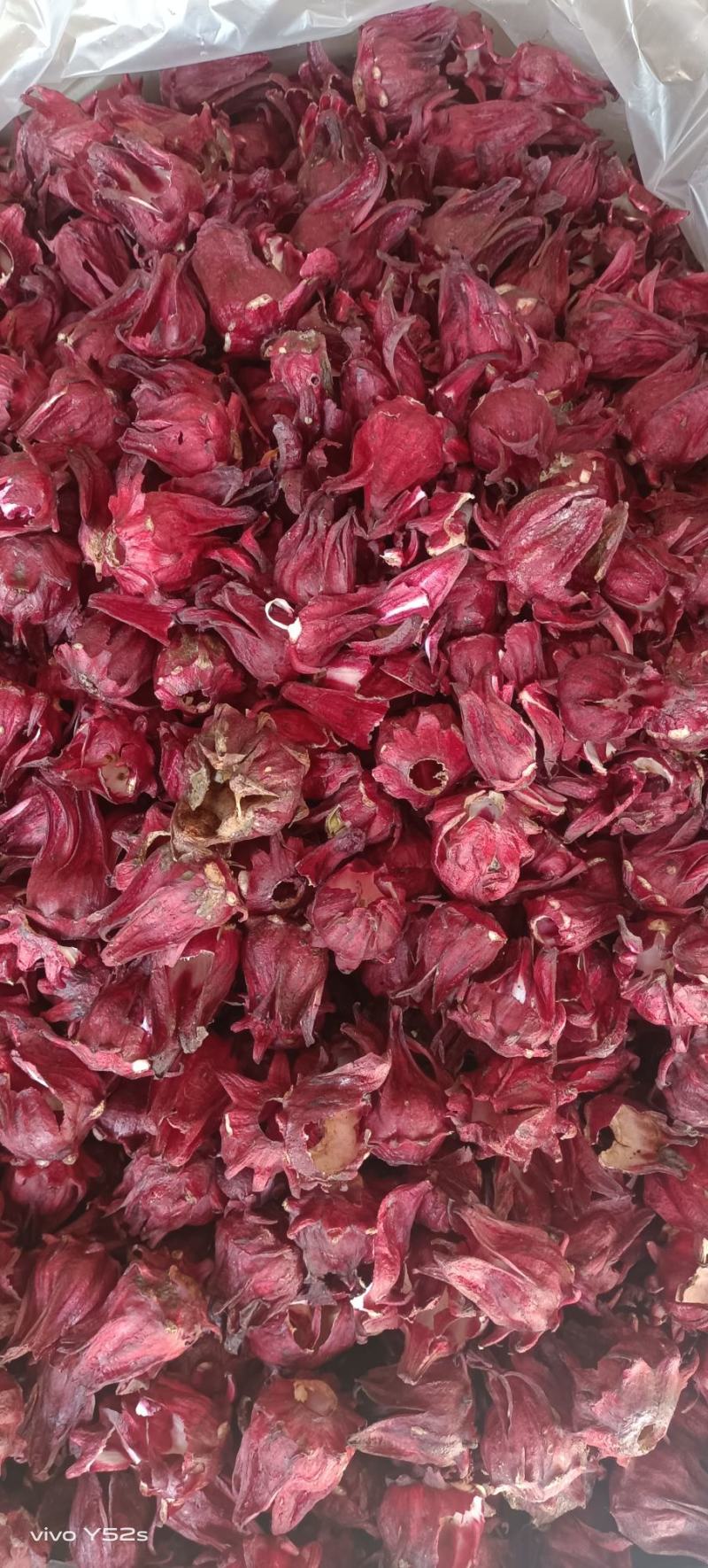 冻干墨红玫瑰，各种花茶批发