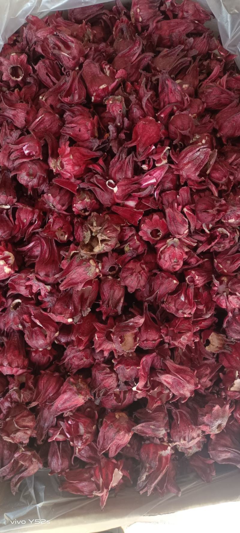 冻干墨红玫瑰，各种花茶批发