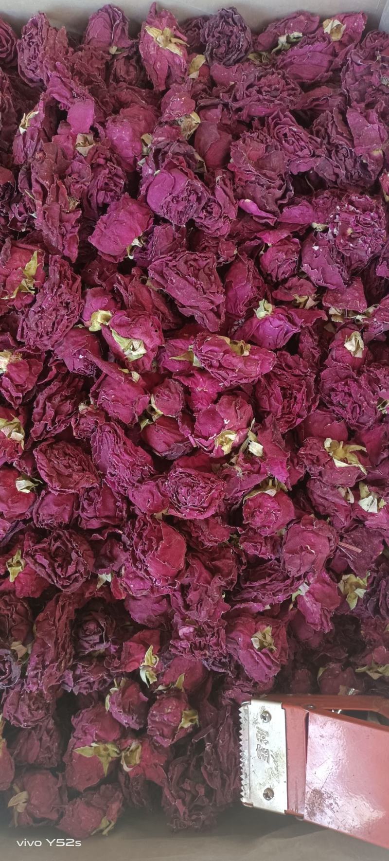冻干墨红玫瑰，各种花茶批发
