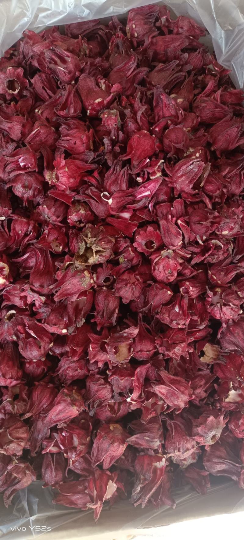 冻干墨红玫瑰，各种花茶批发