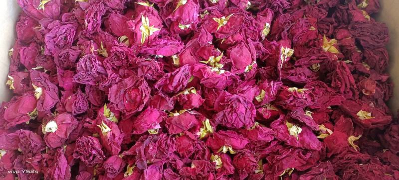 冻干墨红玫瑰，各种花茶批发