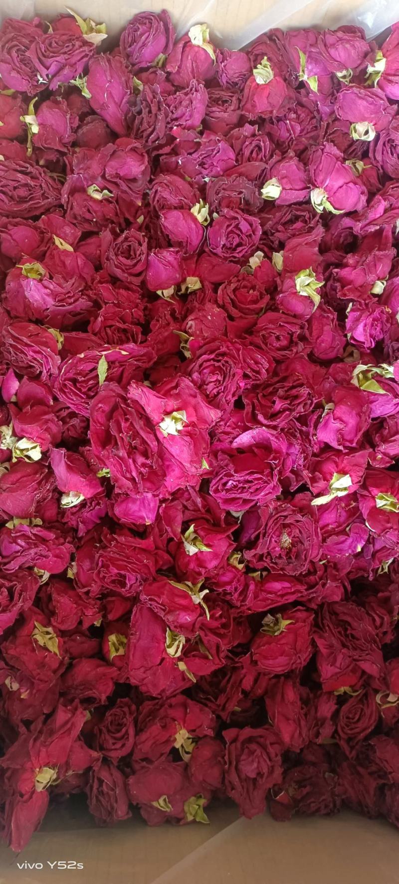 冻干墨红玫瑰，各种花茶批发