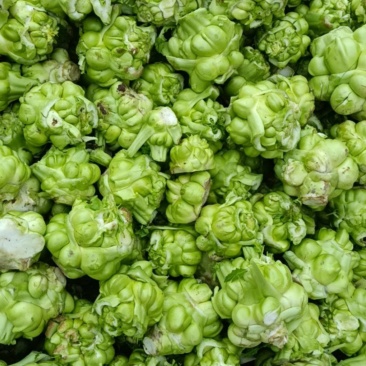 涪陵榨菜