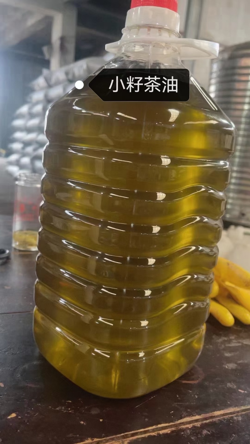 百分百正宗山茶油，假一罚万，质量支持检测，源头厂家直供