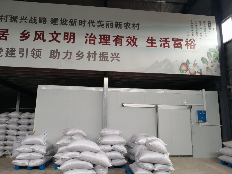 百分百正宗山茶油，假一罚万，质量支持检测，源头厂家直供