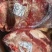 牛胸肉