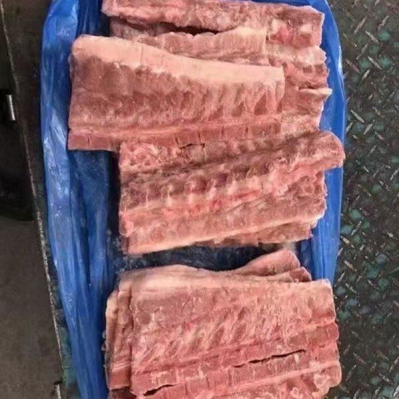 猪背骨