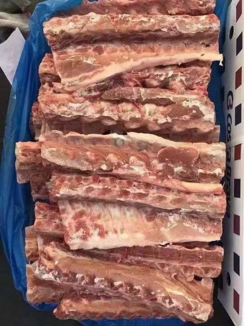 猪背骨