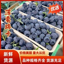 蓝莓F6L25瑞卡薄雾莱克西25蓝莓代发全国