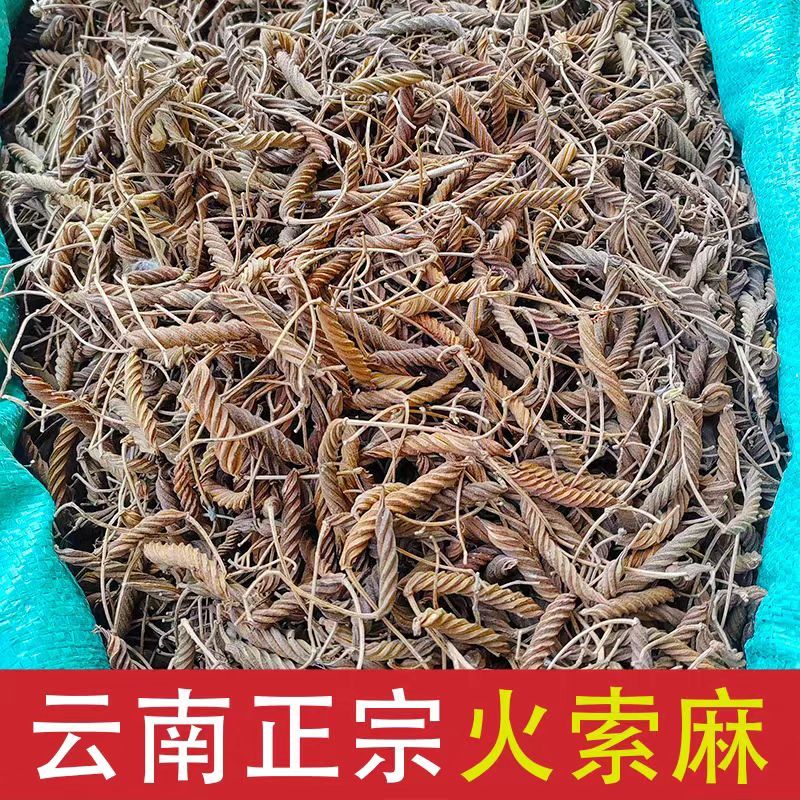 虫草王火索麻1公斤野芝麻麻纽塞、扭索麻、