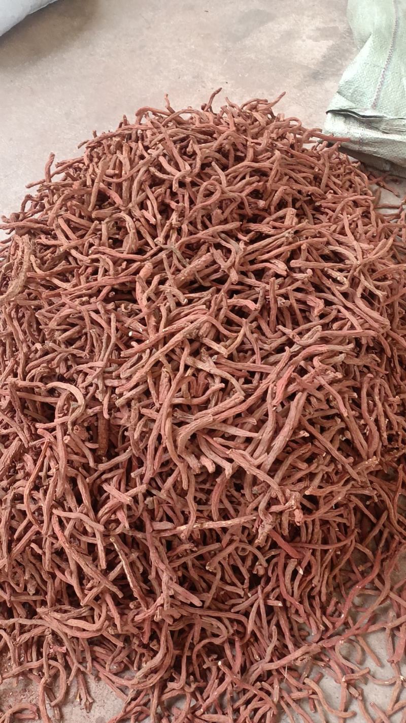 丹参个丹参片各种规格有货