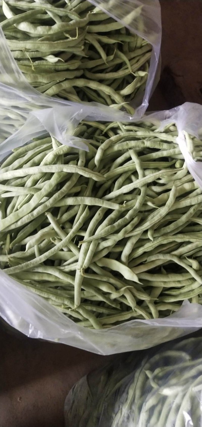 《芸豆角》白芸豆基地直供量大从优全国代发欢迎来电