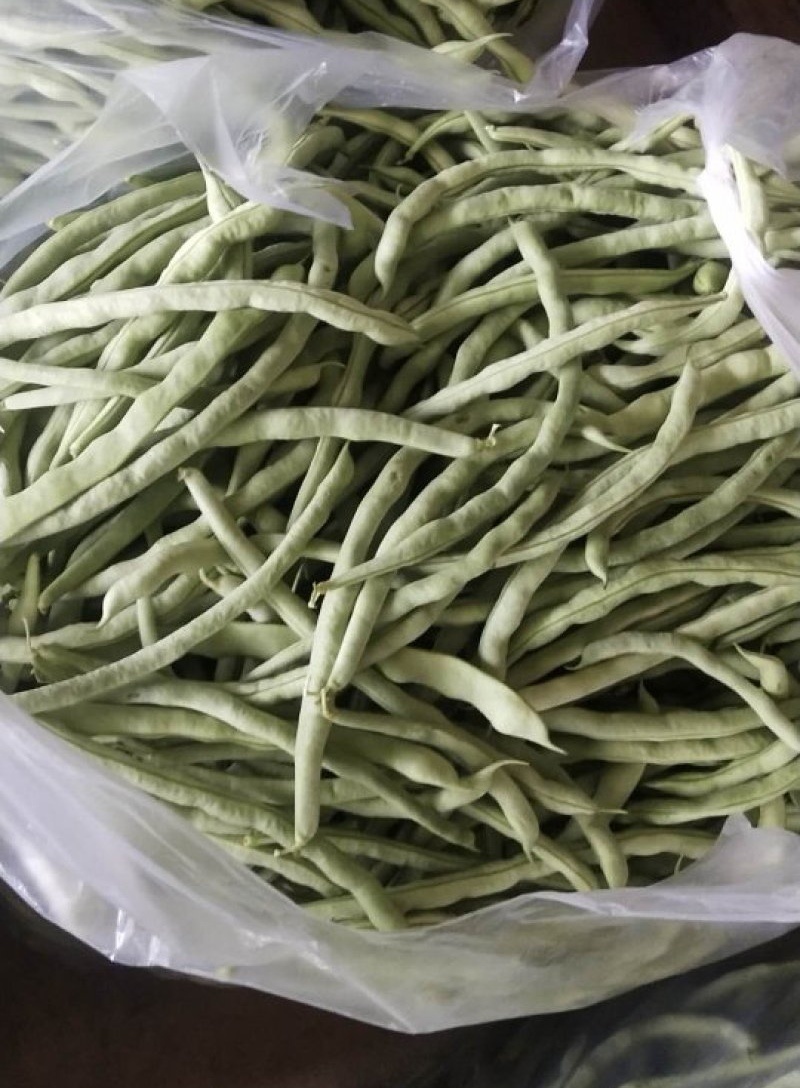 《芸豆角》白芸豆基地直供量大从优全国代发欢迎来电